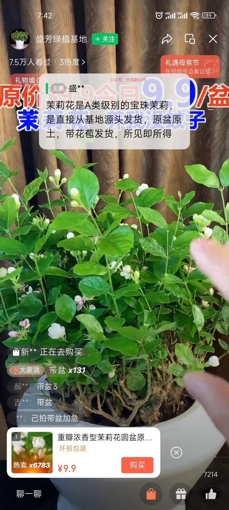 最近的视频号直播驱蚊植物…#情报-搞钱情报论坛-网创交流-优选副业网